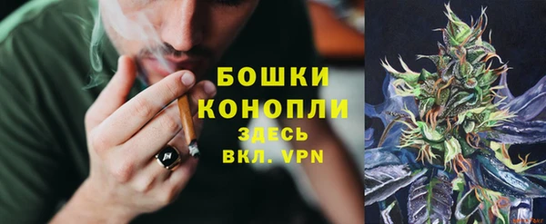 гидропоника Балахна